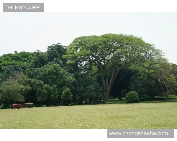 马来西亚与斯里兰卡激战正酣谁能在友谊赛中笑到最后